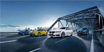 桐鄉寶昌電商團購節盛大開啟 專用車領域迎來新機遇